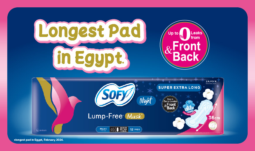 SOFY Soft & Lump Free night Maxi Thick