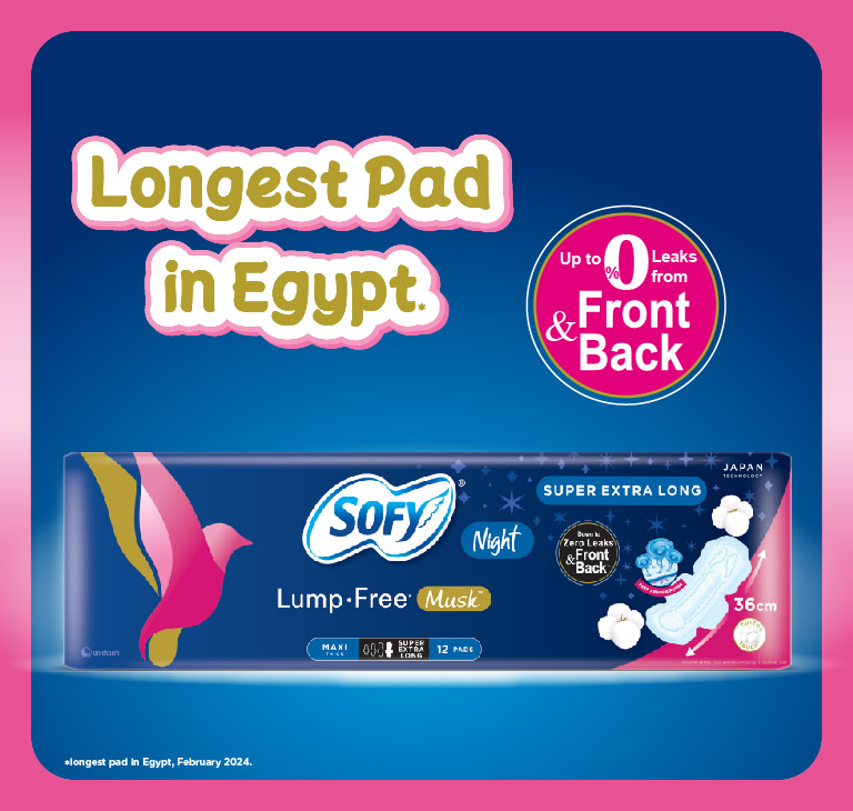 SOFY Soft & Lump Free night Maxi Thick